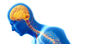 Causas del daño cerebral adquirido